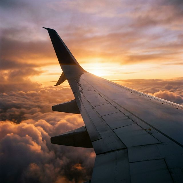 Flight Dynamics